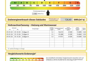 Modernisiertes Reihenmittelhaus + Dachterrasse u. hochwertiger Ausstattung im historischen Stadtkern – Die vollständige Adresse der Immobilie erhältst du vom Anbieter., 46549 Rees – Vorschaubild 22