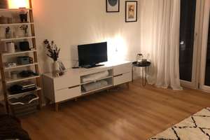 Viel Platz zum Wohlfühlen in diesem 1-Zimmer-Apartment in Regensburg – Michael-Burgau-Straße 11 b, 93049 Westenviertel, Regensburg – Vorschaubild 2