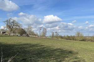 RESERVIERT !!Gr. Wohnhaus (4 WG )mit Pferdestall Grdst. 2215 m²+ 1,59 ha Pachtwiese in Wölschendorf – Die vollständige Adresse der Immobilie erhältst du vom Anbieter., 23936 Grevesmühlen – Vorschaubild 80
