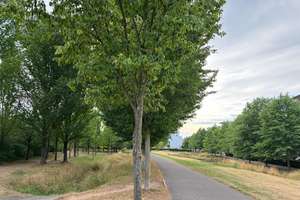 Property thumbnail 35