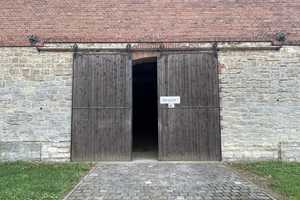 Bauernhof- Viel Platz für Mensch, Hund und Katz!  – Bernburg (Saale), Salzlandkreis, 6406 Salzlandkreis – Vorschaubild 22