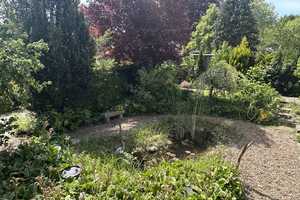 DIREKT AM WALDRAND IN WINSEN/ALLER: BUNGALOW MIT GROSSEM GARTEN & POOL IN FAMILIENFREUNDLICHER LAGE – Celle (Kreis) – Vorschaubild 24
