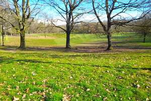 Property thumbnail 19