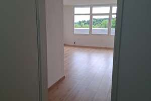 Schöne Aussicht bis zum Rhein: 2-Zimmer-Wohnung in Dotzheim – Hans-Böckler-Straße 76, 65199 Dotzheim, Wiesbaden – Vorschaubild 12