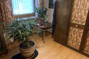 Doppelhaushälfte in Schechen – Die vollständige Adresse der Immobilie erhältst du vom Anbieter., 83135 Schechen – Vorschaubild 14
