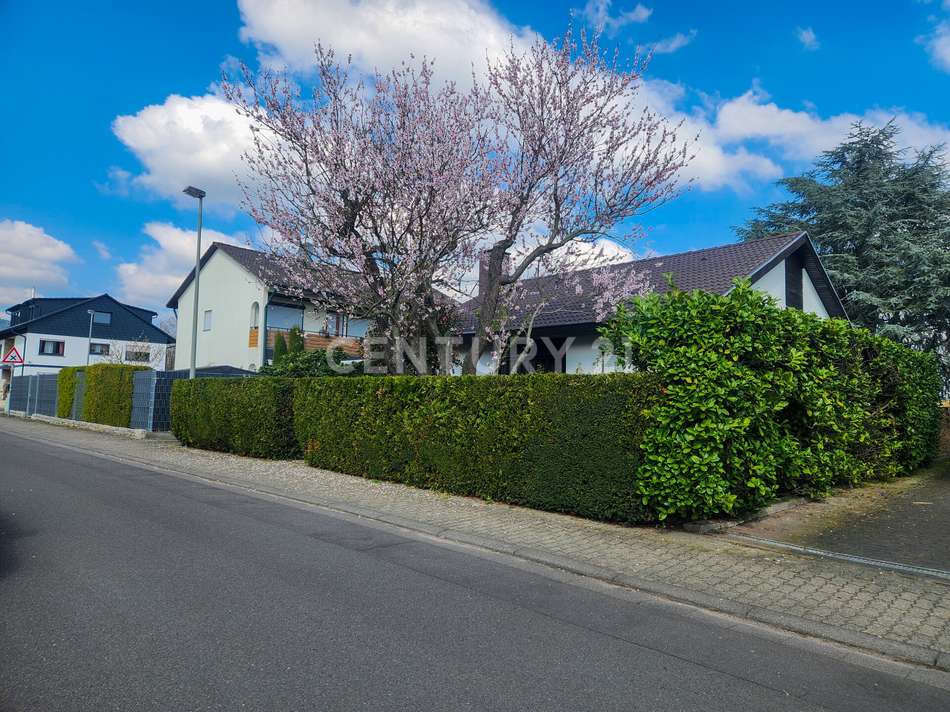 Besonders zur Mandelblüte ein 