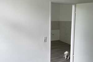 Erstbezug nach Sanierung: Stilvolle 1-Zimmer-Wohnung mit gehobener Innenausstattung in Düsseldorf – Dreherstraße 29, 40625 Düsseldorf – Vorschaubild 12
