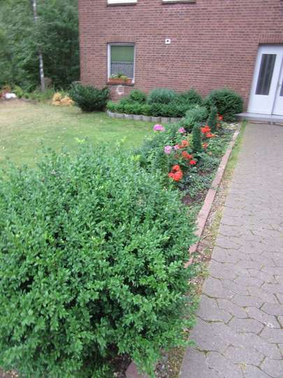 Garten 1 Garten 1