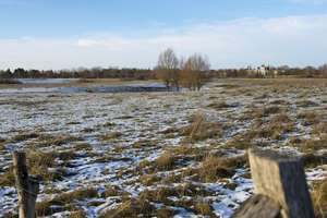 Property thumbnail 28