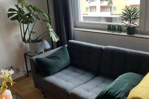 1-Zimmer Wohnung in Münster-Neutor mit 40 m² Wohnfläche – Steinfurter Straße 7a, 48149 Neutor, Münster – Vorschaubild 9