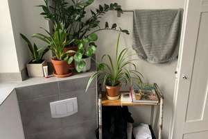  2-Zimmer-Wohnung in Mannheim mit ausbaubarem Dach- Spitzboden – Cannabichstraße 24, 68167 Neckarstadt-Ost/Wohlgelegen, Mannheim – Vorschaubild 12