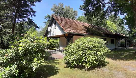 Bild von Ein Zuhause ist dort, wo sich das Herz Zuhause fühlt - EFH in Knesebeck Feriengebiet