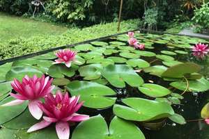 Property thumbnail 13