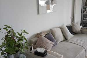 RESERVIERT 
Ohne Makler
Vollständig renovierte 3,5-Zimmer-Wohnung mit Balkon und EBK in Bochum – Bochum – Vorschaubild 7