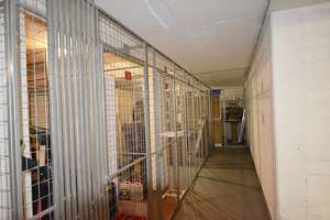 Helle 3 Zimmer-Wohnung im EG/Hochparterre mit Balkon in äußerst gepflegtem Mehrfamilienhaus – Westparkstr. 89, 47803 Kempener Feld/Baackeshof, Krefeld – Vorschaubild 25
