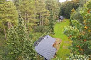 Naturliebhaber aufgepasst!! Einmalige Gelegenheit **ein Haus mitten im Wald**!!! – Die vollständige Adresse der Immobilie erhältst du vom Anbieter., 47533 Kleve – Vorschaubild 2