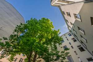 Dachrohling für 3 Einheiten, direkt vom Eigentümer – Wittstocker Straße 9, 10553 Moabit, Berlin – Vorschaubild 4