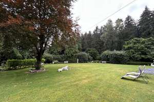 Property thumbnail 79