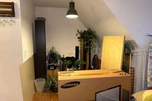 Property thumbnail 6