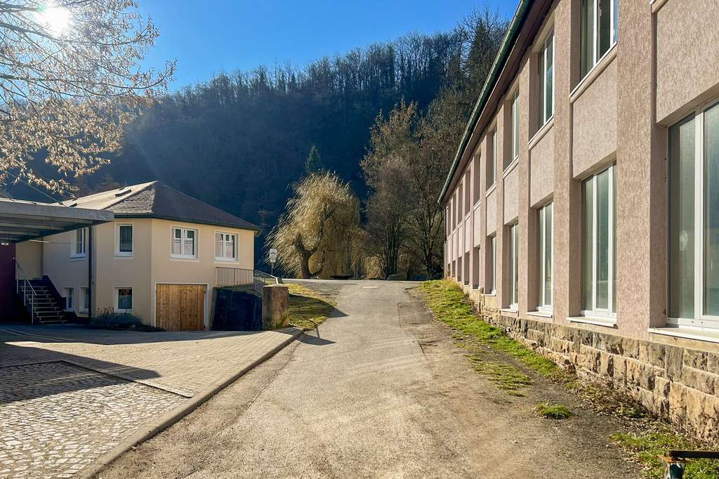 Immobilie in Tharandt - Mehrfamilienhaus am Tharandter Schlossteich! - Bild 4