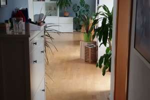 Alltagstaugliche 2,5-Zimmer-Wohnung in saniertem Zustand in Bochum – Elisabethstrasse 41, 44866 Wattenscheid-Mitte, Bochum – Vorschaubild 12