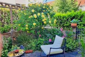 Im Sommer einziehen!  6 Zimmer, junges RMH in sehr ruhiger Lage, 2 x Terrasse, Doppelgarage – Ulm – Vorschaubild 1