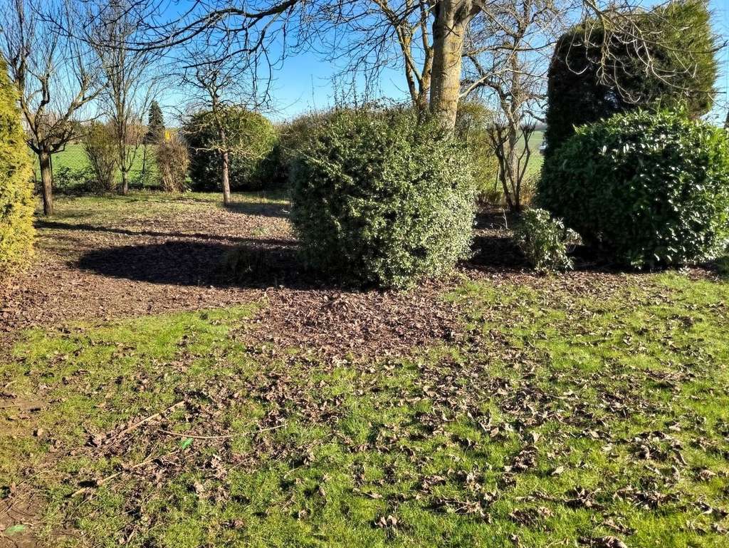 Immobilie in Mendig - Attraktives Mehrfamilienhaus mit stabilen Mieteinnahmen in ruhiger Lage - Bild 3