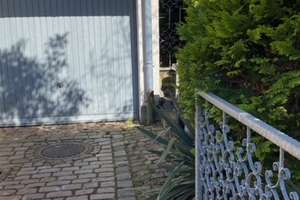 ❤️-lich Willkommen! Charmantes  Haus mit Wintergarten & Einliegerwohnung – 69126 Emmertsgrund, Heidelberg – Vorschaubild 4
