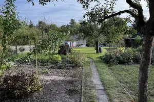 Achtung Schnäppchen!!! EFH mit 190 m² Wfl. und 1.570 m² Grundstück in Fockendorf – Altenburger Land (Kreis) – Vorschaubild 8