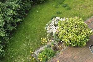 Ruhiges Wohnen am Waldrand: Gepflegtes Einfamilienhaus mit schönem Garten in Elmshorn – Raboisenstraße 14b, 25336 Elmshorn – Vorschaubild 3