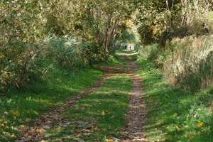 6 Zimmer im Grünen am Schweriner See – Storchenweg 6b, 19067 Dobin am See – Vorschaubild 31