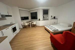 Geräumiges 1-Zimmer Apartment in Essen-Stadtwald