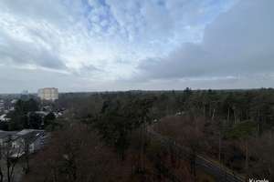 Investment mit Weitblick! – Die vollständige Adresse der Immobilie erhältst du vom Anbieter., 76139 Waldstadt, Karlsruhe – Vorschaubild 2