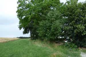 Naturliebhaber und Individualisten aufgepasst! – Landshut (Kreis) – Vorschaubild 3