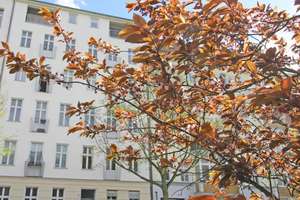 Bezugsfreie 2-Zimmer Dachgeschosswohnung in beliebter Kiezlage – Die vollständige Adresse der Immobilie erhältst du vom Anbieter., 13357 Gesundbrunnen, Berlin – Vorschaubild 6