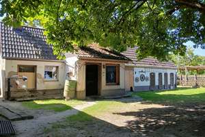 Einfamilienhaus mit Garten und Nebengebäude in Meßdorf – Die vollständige Adresse der Immobilie erhältst du vom Anbieter., 39629 Meßdorf – Vorschaubild 5