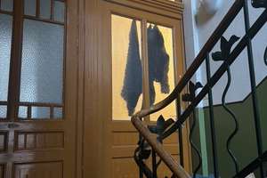 Von Privat:: Komplett sanierte 2 Zimmer Altbauwohnung – Kasteler Straße 5, 65203 Biebrich, Wiesbaden – Vorschaubild 6