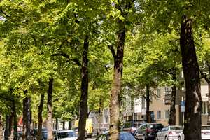 CHARMANTE 1-ZIMMER-WOHNUNG mit BALKON – ZENTRAL WOHNEN NAHE OLYMPIAPARK! – Lerchenauerstraße 5, 80809 München – Vorschaubild 15