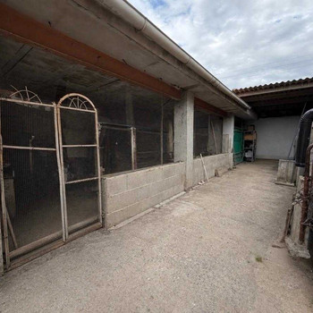 Stall in Llíria