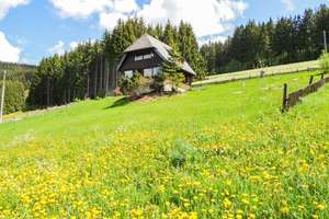 Rückzugsort im Schwarzwald: Charmantes Schwarzwaldhaus in Alleinlage mit 1.482 m² Naturgrundstück – Die vollständige Adresse der Immobilie erhältst du vom Anbieter., 79822 Titisee-Neustadt – Vorschaubild 1
