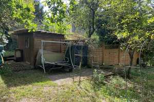 Die zweite Chance -Haus mit Platz, Garten & Stadtnähe – Altenkirchen (Westerwald) (Kreis) – Vorschaubild 33