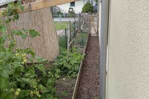 Neuwertiges 3-Zimmer-Tiny-House mit Lehmputz, Schwedenofen, geh. Innenausstattung und EBK – Günzburg (Kreis) – Vorschaubild 21