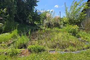 EFH mit XXL-Wohn-/Ess-Kochbereich und riesigem Garten in ruhiger Lage von Heidgen/Alfter bei Bonn – Rhein-Sieg-Kreis – Vorschaubild 14