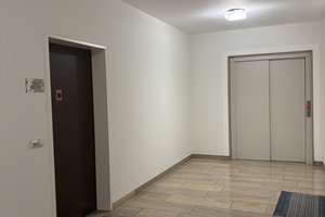 🌼Wunderschöne 4-Zimmerwohnung zum Erstbezug - ab sofort – Prinzregentenstr. 124, 81677 Steinhausen, München – Vorschaubild 4