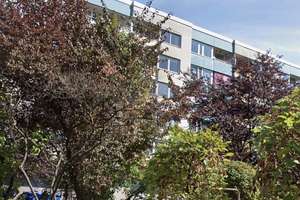 Nachmieter Gesucht: 2 Zimmer+EBK+Balkon 