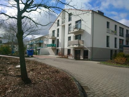 3 3 5 Zimmer Wohnung Zum Kauf In Soltau Immobilienscout24