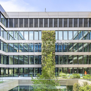 Hier werden Sie glücklich: Top-Büro mit exklusiver Dachterrasse