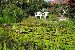 Ihr neues Zuhause in Wesenberg: Wo das Leben Urlaub macht +FeWo - Scheune...  Enorme Nutzfläche – Mecklenburg-Strelitz (Kreis) – Vorschaubild 17