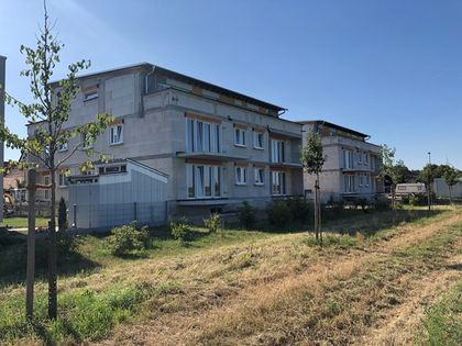 Mietwohnungen Herxheim Bei Landau/Pfalz: Wohnungen Mieten In Südliche ...