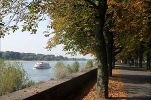 Rheinfront Df.-Golzheim: Herrschaftliches Stadtpalais mit 4 Großwohnungen – 40474 Golzheim, Düsseldorf – Vorschaubild 16